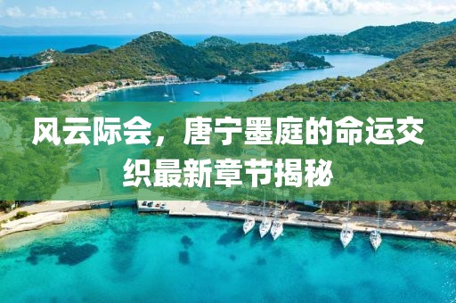 风云际会，唐宁墨庭的命运交织最新章节揭秘