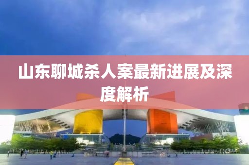 山东聊城杀人案最新进展及深度解析