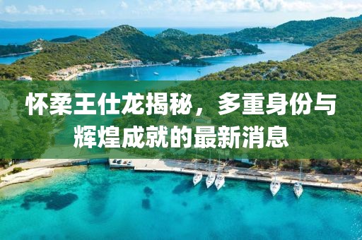 怀柔王仕龙揭秘，多重身份与辉煌成就的最新消息