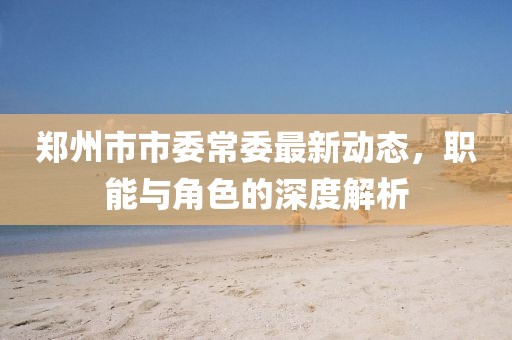 郑州市市委常委最新动态，职能与角色的深度解析