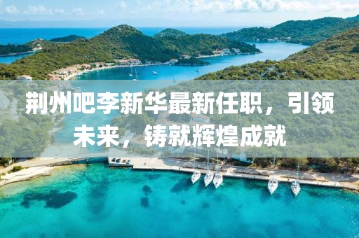 荆州吧李新华最新任职，引领未来，铸就辉煌成就