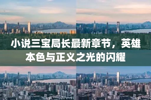 小说三宝局长最新章节，英雄本色与正义之光的闪耀