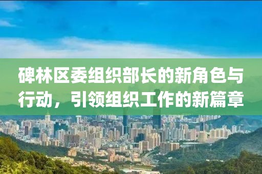碑林区委组织部长的新角色与行动，引领组织工作的新篇章