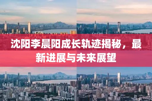 沈阳李晨阳成长轨迹揭秘，最新进展与未来展望