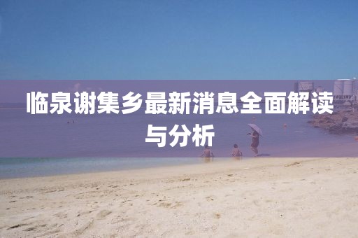 临泉谢集乡最新消息全面解读与分析