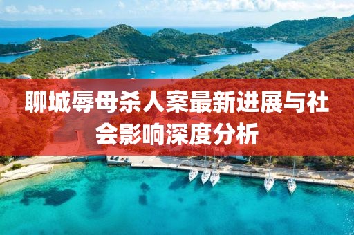 聊城辱母杀人案最新进展与社会影响深度分析