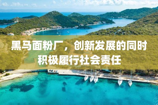 黑马面粉厂，创新发展的同时积极履行社会责任