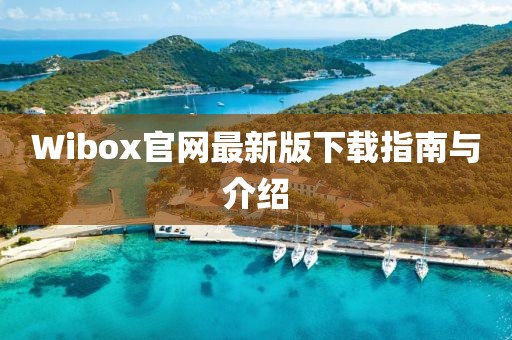 Wibox官网最新版下载指南与介绍