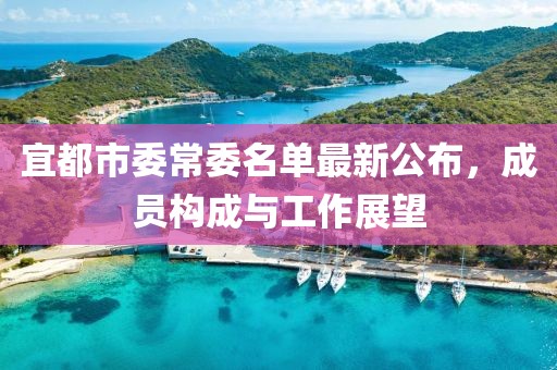 宜都市委常委名单最新公布，成员构成与工作展望