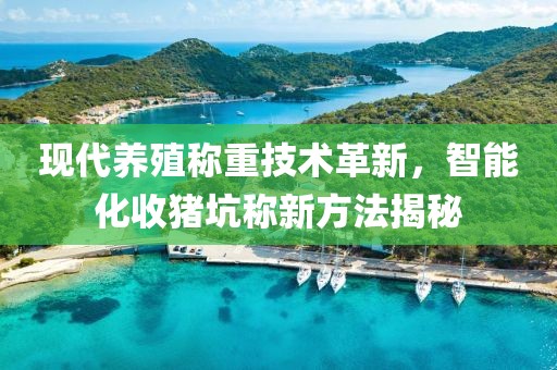 现代养殖称重技术革新，智能化收猪坑称新方法揭秘