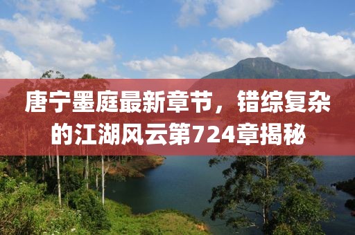 唐宁墨庭最新章节，错综复杂的江湖风云第724章揭秘
