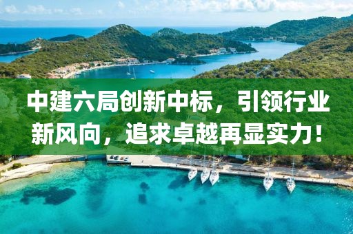中建六局创新中标，引领行业新风向，追求卓越再显实力！