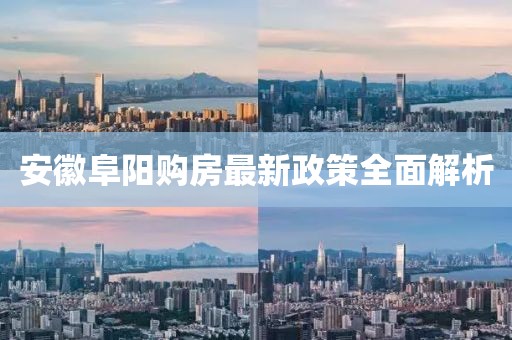 安徽阜阳购房最新政策全面解析