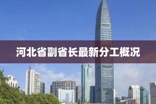 河北省副省长最新分工概况