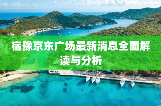 宿豫京东广场最新消息全面解读与分析