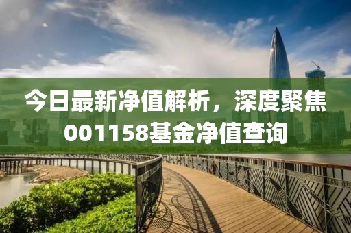 今日最新净值解析，深度聚焦001158基金净值查询