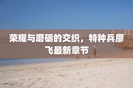 荣耀与磨砺的交织，特种兵廖飞最新章节