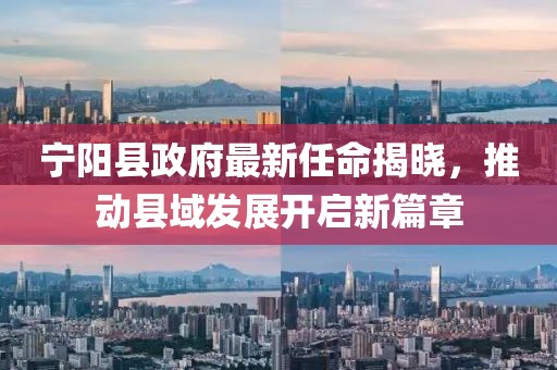 宁阳县政府最新任命揭晓，推动县域发展开启新篇章