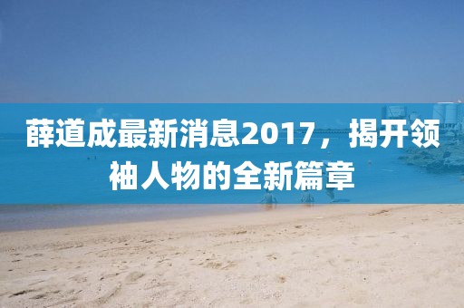 薛道成最新消息2017，揭开领袖人物的全新篇章