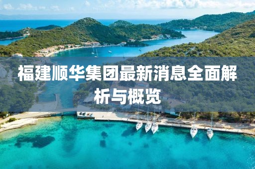 福建顺华集团最新消息全面解析与概览