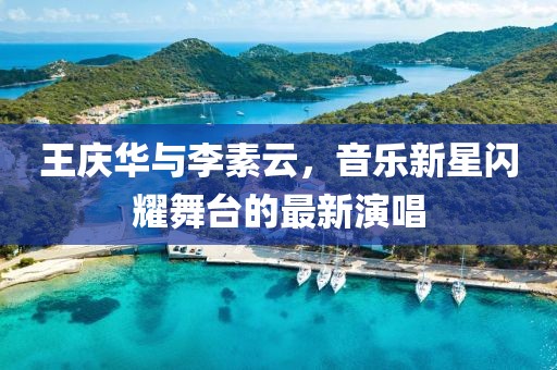 王庆华与李素云，音乐新星闪耀舞台的最新演唱