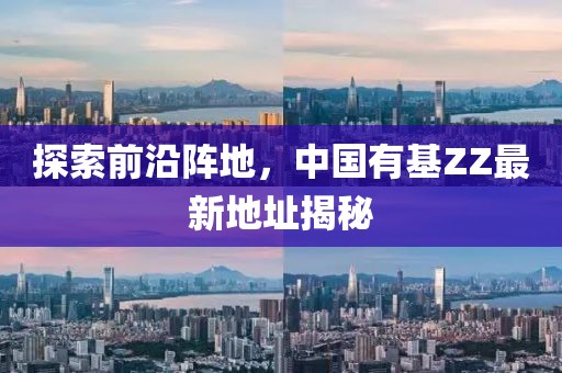 探索前沿阵地，中国有基ZZ最新地址揭秘
