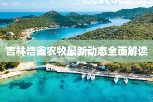 吉林浩鑫农牧最新动态全面解读