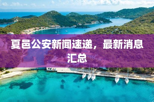 夏邑公安新闻速递，最新消息汇总