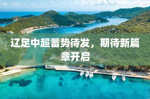 辽足中超蓄势待发，期待新篇章开启