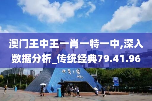 澳门王中王一肖一特一中,深入数据分析_传统经典79.41.96