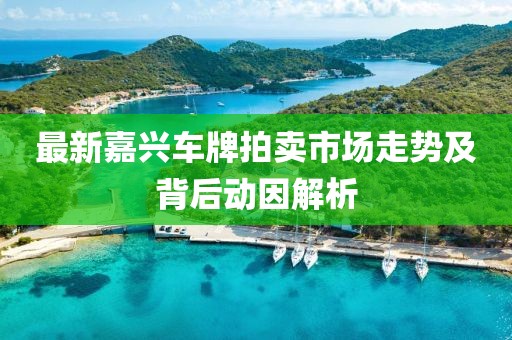 情怀杀手 第5页