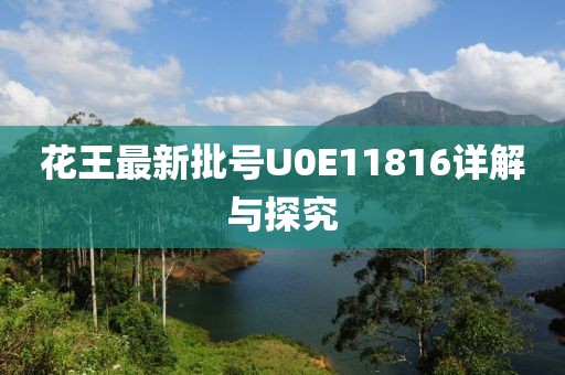 花王最新批号U0E11816详解与探究