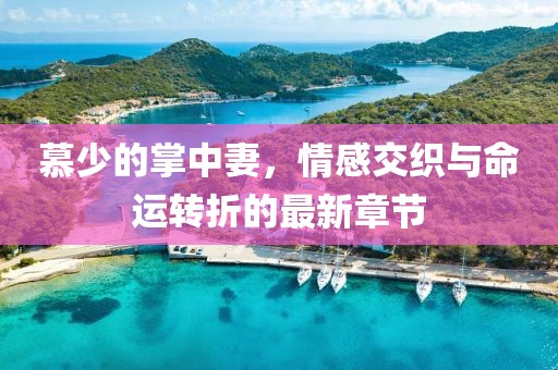 慕少的掌中妻，情感交织与命运转折的最新章节