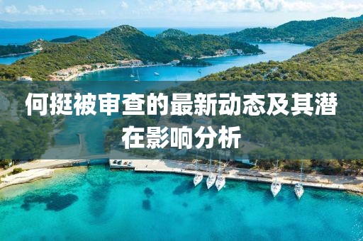 何挺被审查的最新动态及其潜在影响分析