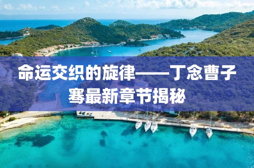 命运交织的旋律——丁念曹子骞最新章节揭秘