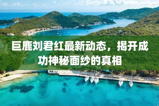 巨鹿刘君红最新动态，揭开成功神秘面纱的真相