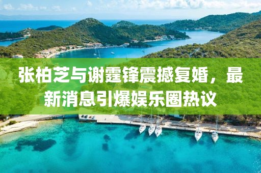 张柏芝与谢霆锋震撼复婚，最新消息引爆娱乐圈热议