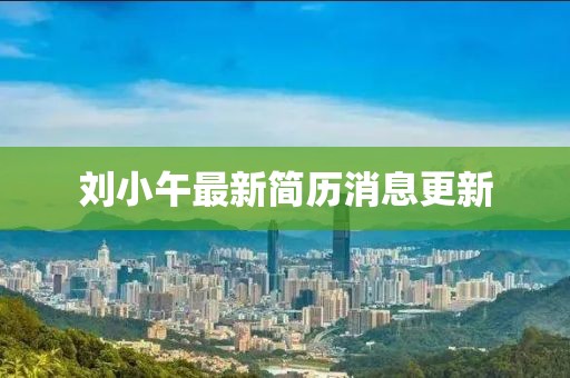 刘小午最新简历消息更新