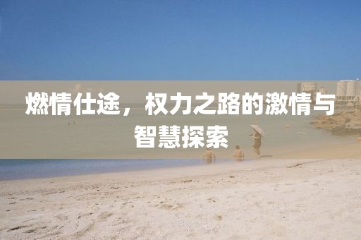 燃情仕途，权力之路的激情与智慧探索