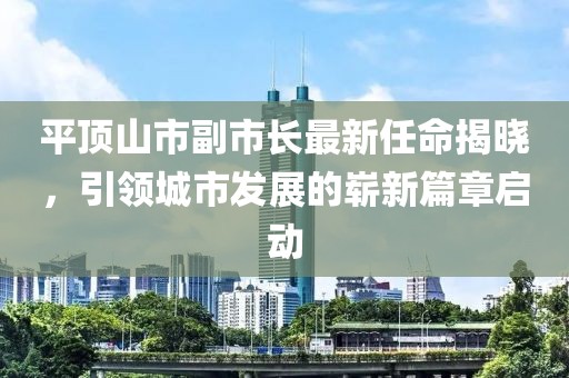 平顶山市副市长最新任命揭晓，引领城市发展的崭新篇章启动