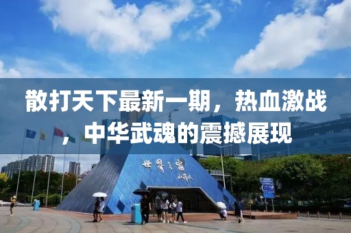 散打天下最新一期，热血激战，中华武魂的震撼展现