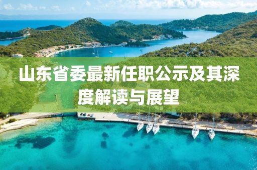 山东省委最新任职公示及其深度解读与展望