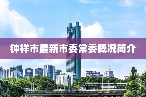 钟祥市最新市委常委概况简介