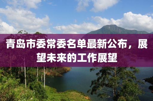 青岛市委常委名单最新公布，展望未来的工作展望