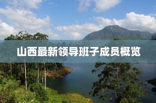 山西最新领导班子成员概览