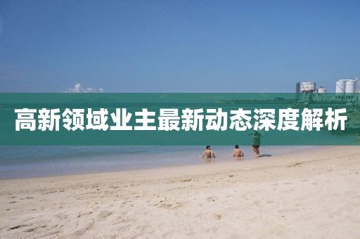 高新领域业主最新动态深度解析