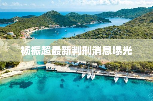 杨振超最新判刑消息曝光