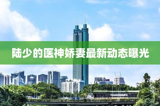 陆少的医神娇妻最新动态曝光