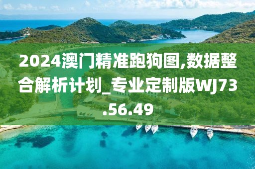 2024澳门精准跑狗图,数据整合解析计划_专业定制版WJ73.56.49