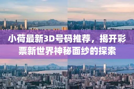 小荷最新3D号码推荐，揭开彩票新世界神秘面纱的探索